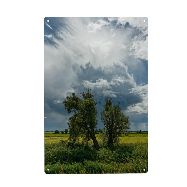 Holzbild "Gewitterstimmung im Oderbruch" artboxONE - Natur