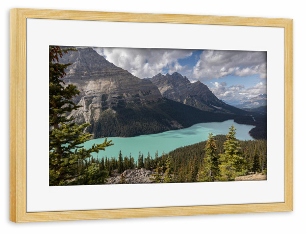 Poster mit Rahmen kiefer "Peyto Lake Kanada" artboxONE - Natur,Reise