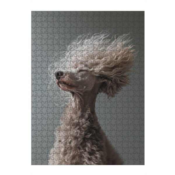 Puzzle Ravensburger "Bad-Hair-Day-Pudel" artboxONE - Tiere,Lustig