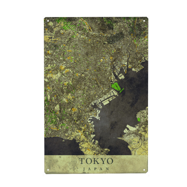 Metall Poster "Tokio Vintage City Map" artboxONE - Städte / Tokio,Kartografie