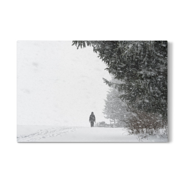 Galerie-Print "Schneesturm" 30x20 cm artboxONE