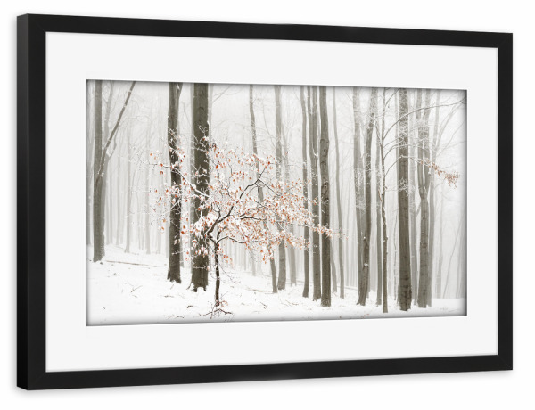 Poster mit Rahmen schwarz "Winterwald im Nebel" artboxONE - Natur