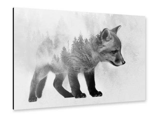 Alu-Dibond "Fox and Forest BW (matart)" 30x20 cm artboxONE