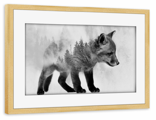Poster mit Rahmen kiefer "Fox and Forest BW (matart)" artboxONE - Natur,Tiere,Schwarzweiß - Fuchs,Füchse,Tier,Tiere,Natur,Wild,Wald