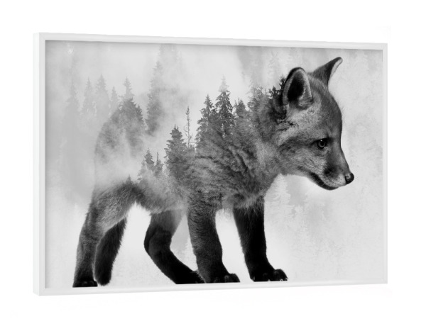 Poster mit weißem Rahmen "Fox and Forest BW (matart)" artboxONE - Natur,Tiere,Schwarzweiß - Fuchs,Füchse,Tier,Tiere,Natur,Wild,Wald