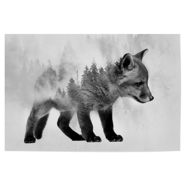Poster 30x20 cm "Fox and Forest BW (matart)" artboxONE - Natur,Tiere,Schwarzweiß - Fuchs,Füchse,Tier,Tiere,Natur,Wild,Wald
