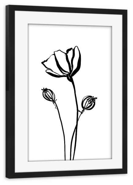 Poster mit Rahmen schwarz "Mohnblume sw" artboxONE - Natur,Floral,Abstrakt