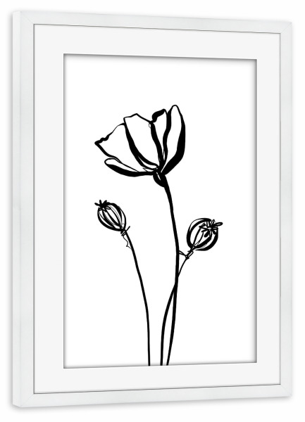 Poster mit Rahmen weiß "Mohnblume sw" artboxONE - Natur,Floral,Abstrakt