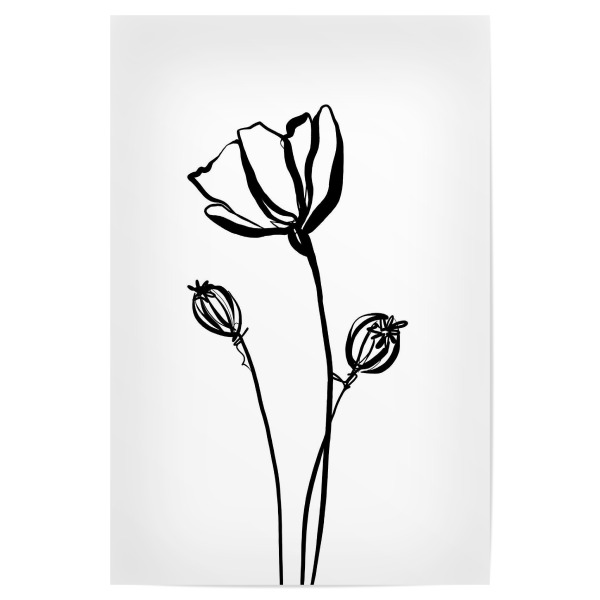 Poster 30x20 cm "Mohnblume sw" artboxONE - Natur,Floral,Abstrakt