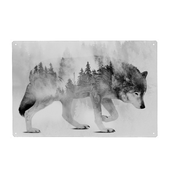 Metall Poster "Wolf und Wald BW (matart)" artboxONE - Natur,Tiere,Schwarzweiß - Wolf,Wölfe,Tier,Tiere,Natur,Wild,Wald - Blechschild