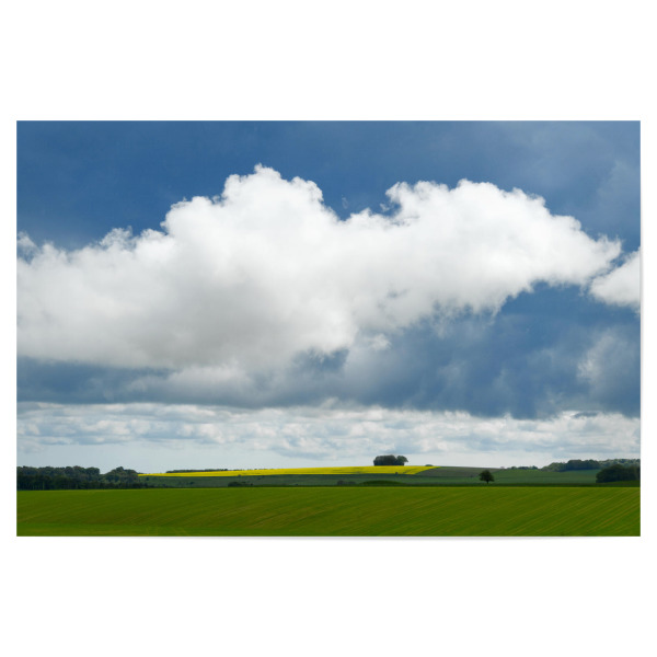 Poster 30x20 cm "Schönwetterwolke über einem Feld" artboxONE - Natur,Reise - Wolke,Feld,Rapsfeld,Wiese,Landschaft,Natur,Himmel,Sommer,Cumulus
