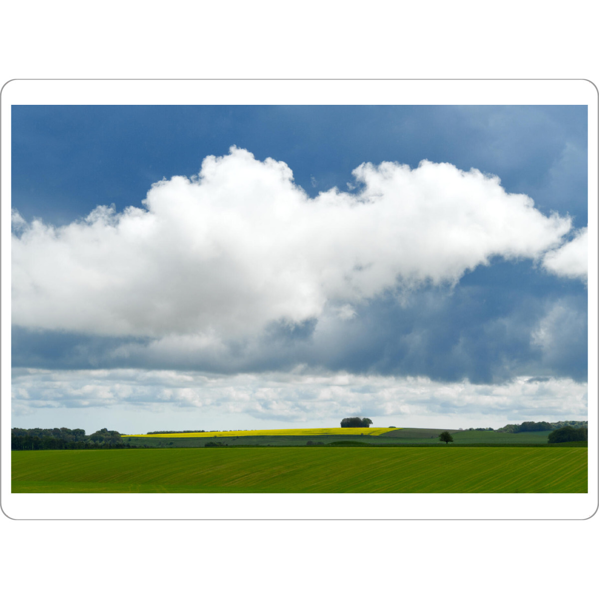 Tischset "Schönwetterwolke über einem Feld" artboxONE - Natur,Reise - Wolke,Feld,Rapsfeld,Wiese,Landschaft,Natur,Himmel,Sommer,Cumulus - Bild wolke