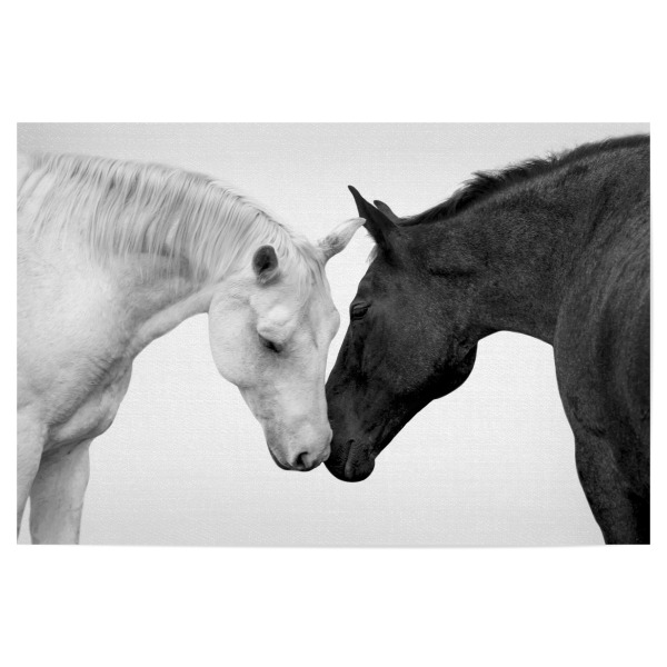 Poster 30x20 cm "Romeo und Julia" artboxONE - Natur,Reise,Tiere,Liebe,Für Mama