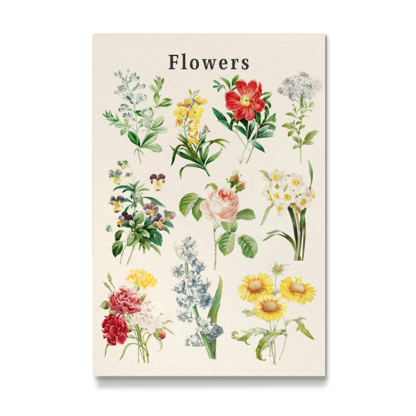 Galerie-Print "Blumensammlung" 30x20 cm artboxONE