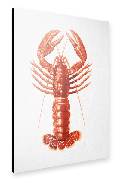 Alu-Dibond "Hummer - Aquarell" 30x20 cm artboxONE