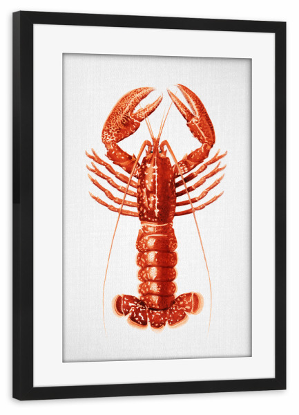 Poster mit Rahmen schwarz "Hummer - Aquarell" artboxONE - Natur,Tiere,Essen & Trinken,Reise / Strand und Meer,Für Papa
