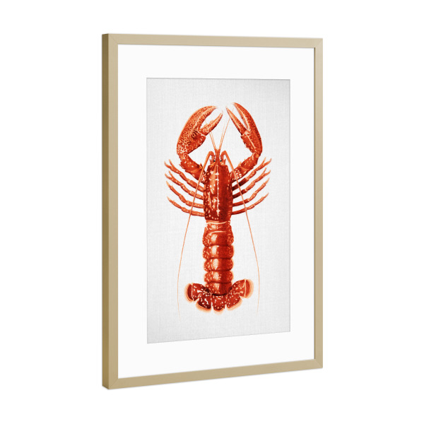 Poster mit Rahmen Gold "Hummer - Aquarell" artboxONE - Natur,Tiere,Essen & Trinken,Reise / Strand und Meer,Für Papa