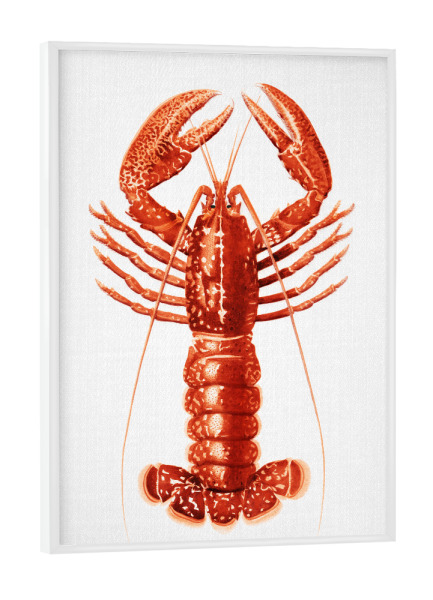 Poster mit weißem Rahmen "Hummer - Aquarell" artboxONE - Natur,Tiere,Essen & Trinken,Reise / Strand und Meer,Für Papa
