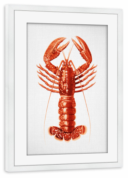 Poster mit Rahmen weiß "Hummer - Aquarell" artboxONE - Natur,Tiere,Essen & Trinken,Reise / Strand und Meer,Für Papa
