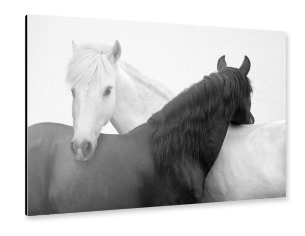 Alu-Dibond "Yin-Yang-Pferde" 30x20 cm artboxONE