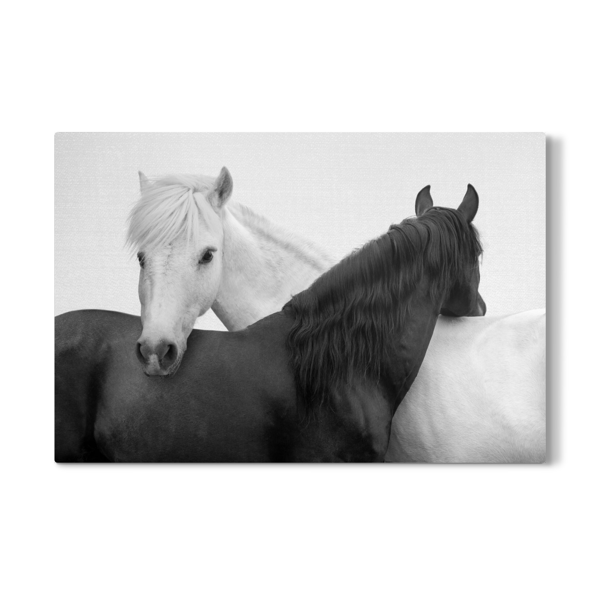 Galerie-Print "Yin-Yang-Pferde" 75x50 cm artboxONE