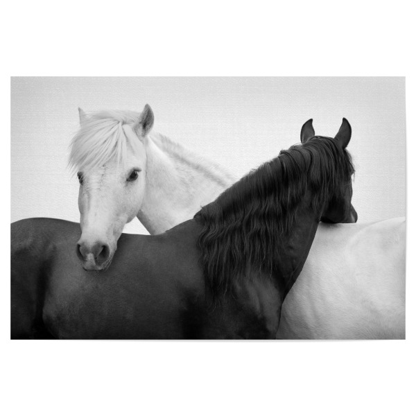 Poster 30x20 cm "Yin-Yang-Pferde" artboxONE - Natur,Reise,Tiere,Liebe,Reise / Länder