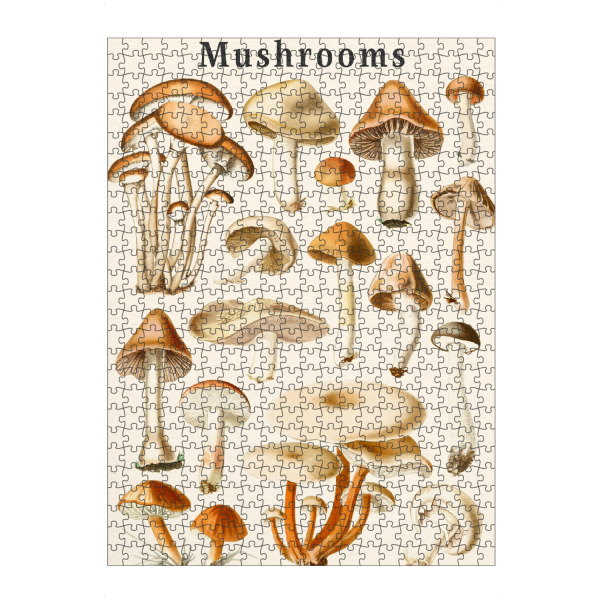 Puzzle Ravensburger "Pilzsammlung" artboxONE - Typografie,Natur,Reise,Floral,Essen & Trinken