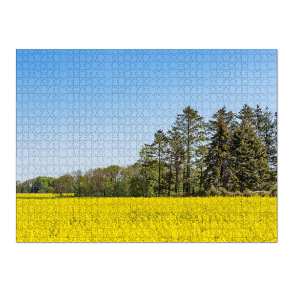 Puzzle Ravensburger "Blühendes Rapsfeld und Bäume" artboxONE - Natur,Reise