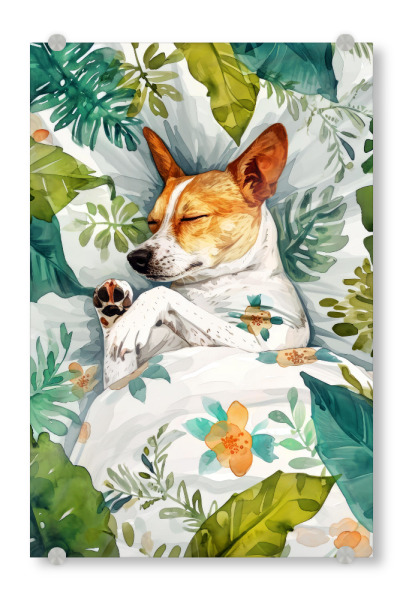 Acrylglasbild "Hundeleben D" artboxONE - Floral,Tiere - Hund,Hunde,Tiere,Haustier,Illustration,Grafik,Kunst