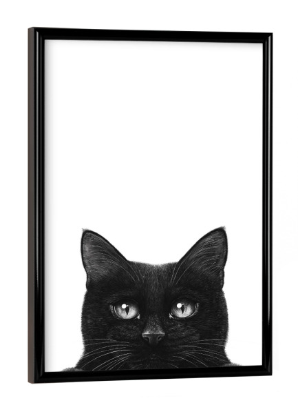 Poster mit schwarzem Rahmen "Guckende schwarze Katze mit Pfoten" artboxONE - Natur,Für Kinder,Tiere,Comic,Lustig