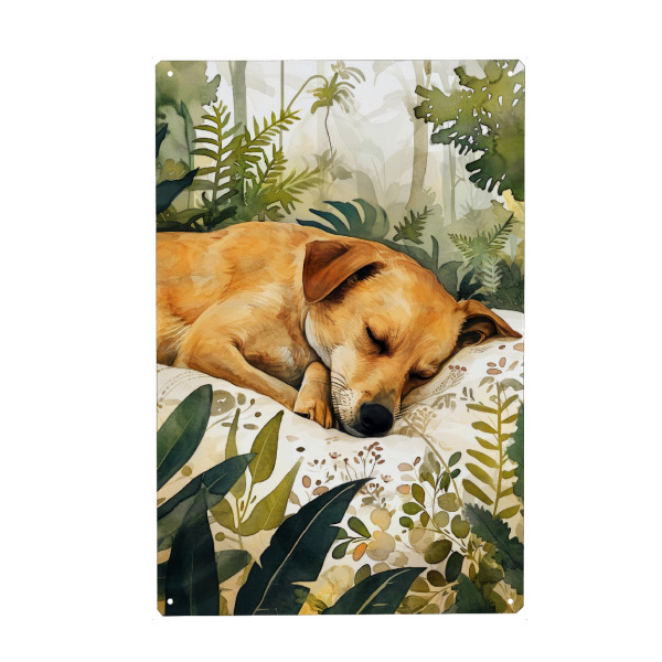 Metall Poster "Hundeleben H" artboxONE - Floral,Tiere - Hund,Hunde,Tiere,Haustier,Illustration,Grafik,Kunst - Blechschild