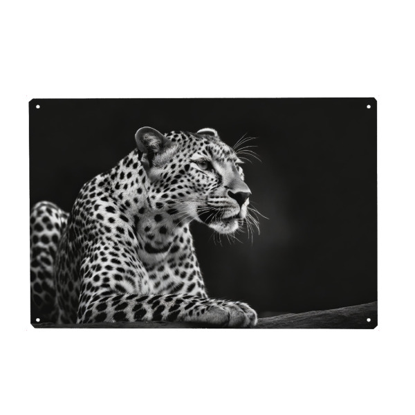 Holzbild "Entspannter Leopard" artboxONE - Tiere,Schwarzweiß - Wildnis,Afrika,Wildtier,Savanne,Leopard,Primärwald,Großkatzen,Schwarzweiß