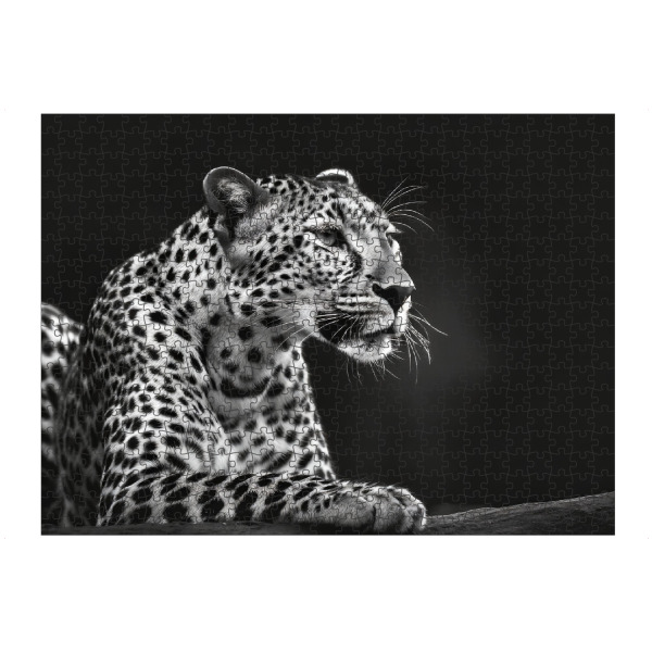artboxONE Puzzle "Entspannter Leopard" artboxONE - Tiere,Schwarzweiß - Wildnis,Afrika,Wildtier,Savanne,Leopard,Primärwald,Großkatzen,Schwarzweiß