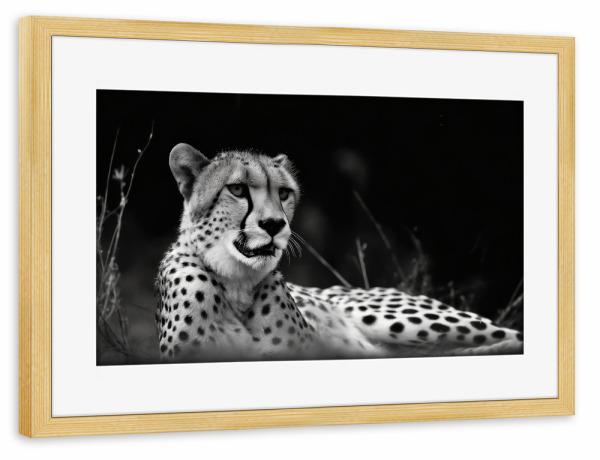 Poster mit Rahmen kiefer "Gepard in der Savanne" artboxONE - Tiere,Schwarzweiß - Natur,Afrika,Wildtier,Tier,Savanne,Gepard,Großkatzen,Schwarzweiß