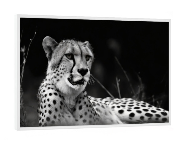 Poster mit weißem Rahmen "Gepard in der Savanne" artboxONE - Tiere,Schwarzweiß - Natur,Afrika,Wildtier,Tier,Savanne,Gepard,Großkatzen,Schwarzweiß