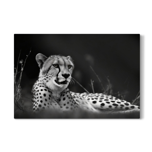 Galerie-Print "Gepard in der Savanne" 30x20 cm artboxONE