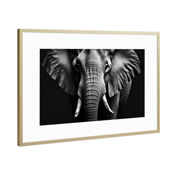 Poster mit Rahmen Gold "Elefant Portait" artboxONE - Tiere,Schwarzweiß