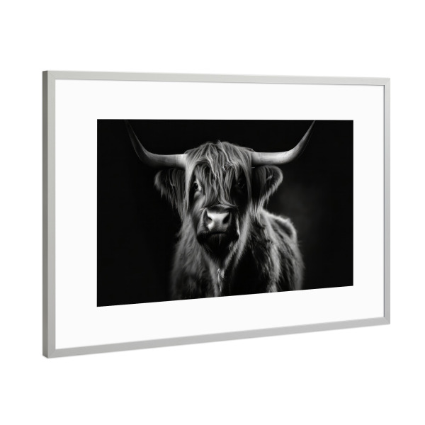 Poster mit Rahmen Silber "Scottish Highlander Portrait" artboxONE - Tiere,Schwarzweiß