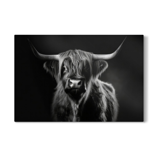 Galerie-Print "Scottish Highlander Portrait" 30x20 cm artboxONE