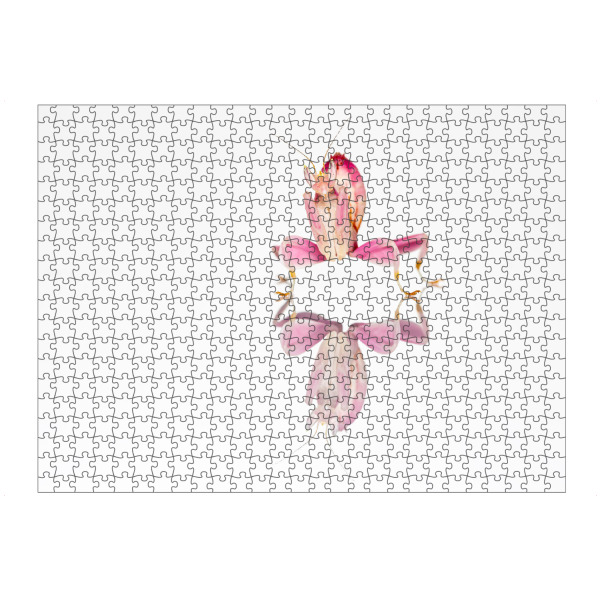 artboxONE Puzzle "Eine Orchideen Gottesanbeterin" artboxONE - Tiere