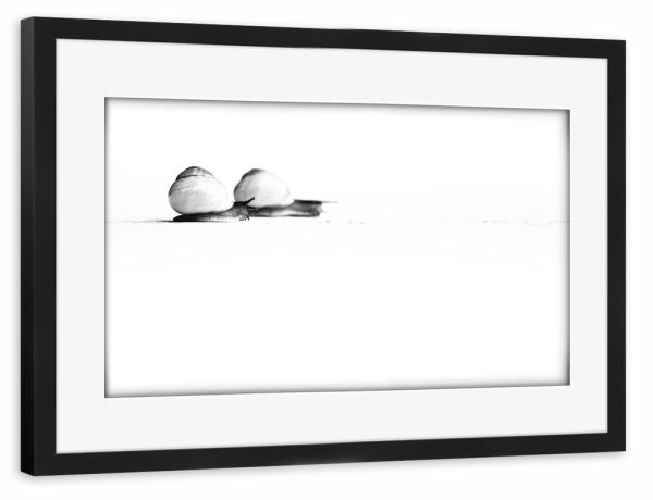 Poster mit Rahmen schwarz "Snails on their Way" artboxONE - Natur,Tiere