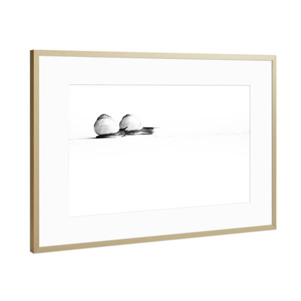 Poster mit Rahmen Gold "Snails on their Way" artboxONE - Natur,Tiere