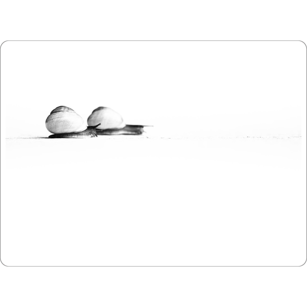 Tischset "Snails on their Way" artboxONE - Natur,Tiere