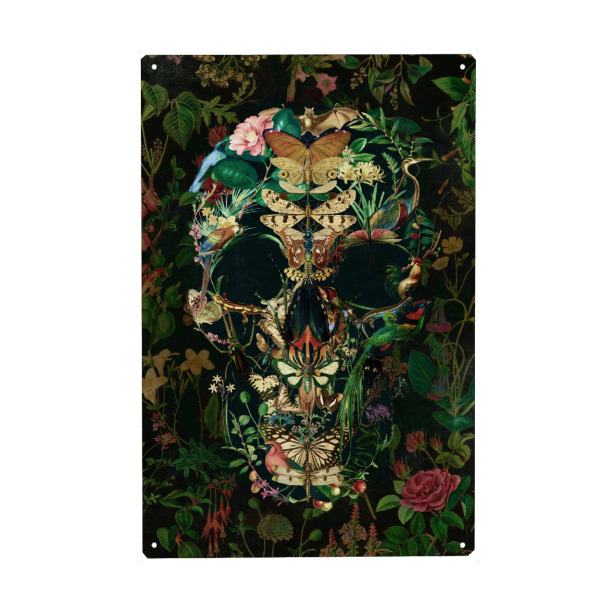 Metall Poster "Papillon-Schädel" artboxONE - Natur,Floral,Fiktion,Halloween