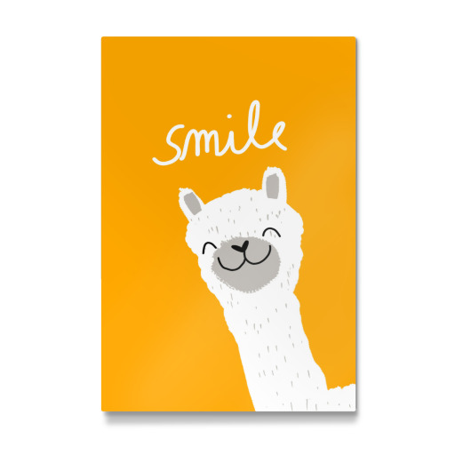 Smile Alpaka