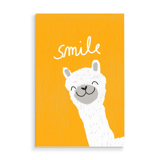 Smile Alpaka