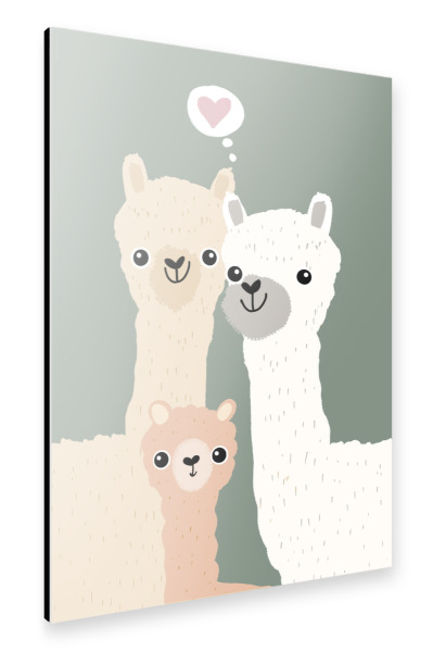 Alu-Dibond "Alpaka Familie" 30x20 cm artboxONE