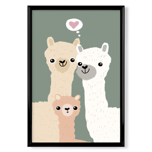 Alpaca family