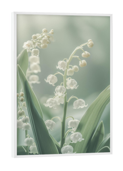 Poster mit weißem Rahmen "Zarte Maiglöckchen" artboxONE - Natur,Floral