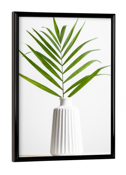 Poster mit schwarzem Rahmen "Farn im Ganzen" artboxONE - Floral - Farn,Blumen,Botanik,Grün,Weiß,Mimimalistisch,Fotografie